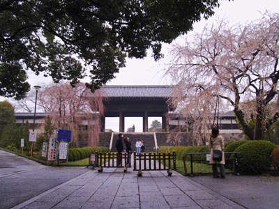 20070325-1.jpg
