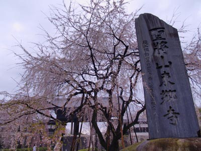 20070325-2.jpg