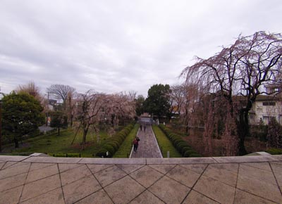 20070325-3.jpg