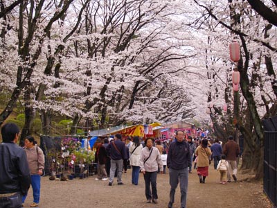 20070404-2.jpg