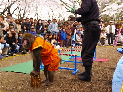 20070404-3.jpg