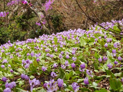 20070416.jpg